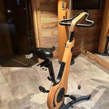 Spa, Sport & Luxury Ski-in Ski-out Lejlighed Kitzbühel